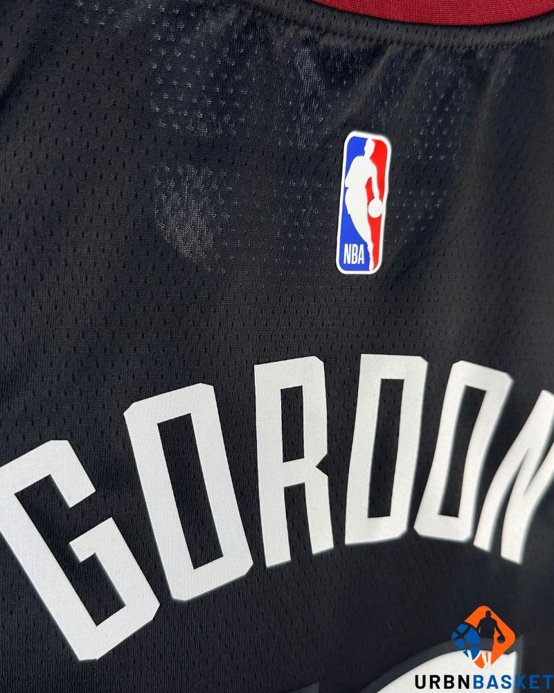 GORDON AARON (DEN)